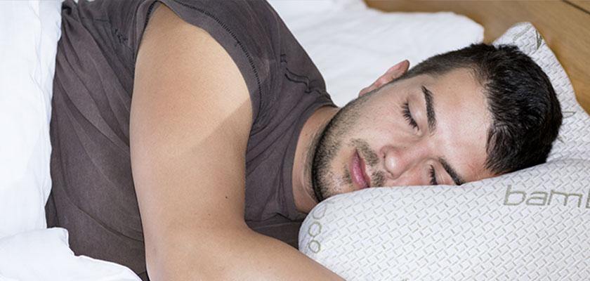 Shredded Memory Foam Pillow
