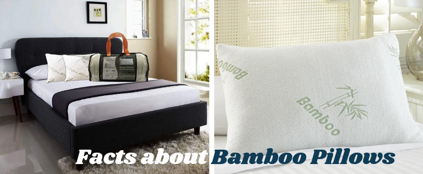 Get an Eco-friendly Sleep with Bamboo Pillows!