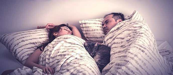 Stages of Sleep: REM and Non REM Sleep Cycles