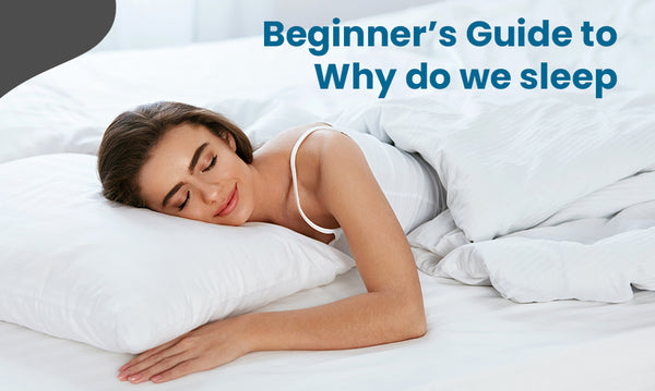 Beginner’s Guide to Why Do We Sleep