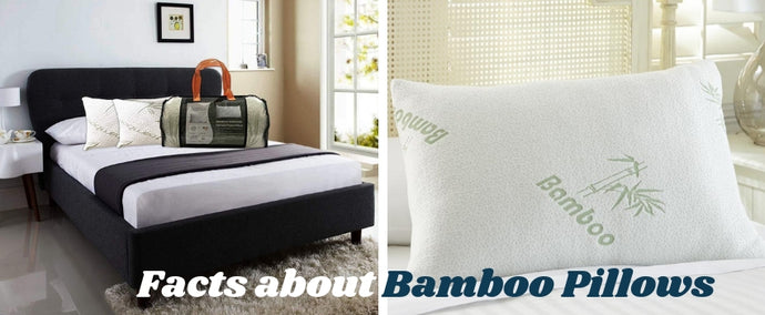 Get an Eco-friendly Sleep with Bamboo Pillows!