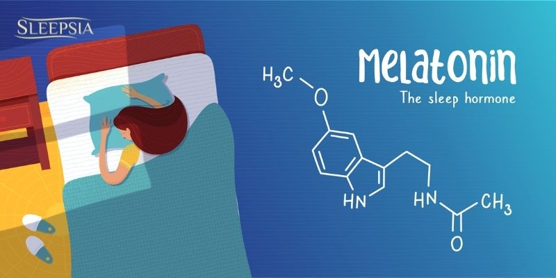 Melatonin: The Sleep Hormone