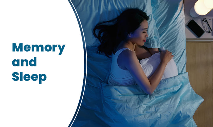 Memory and sleep