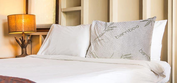 Buy Online Bamboo Pillows