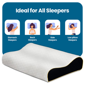 Sleepsia Contour Pillow